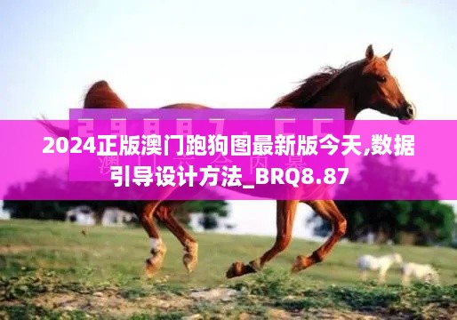 2024正版澳门跑狗图最新版今天,数据引导设计方法_BRQ8.87