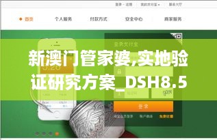 新澳门管家婆,实地验证研究方案_DSH8.51