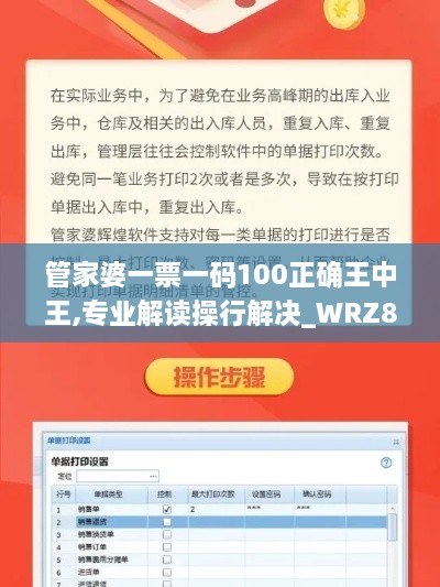 管家婆一票一码100正确王中王,专业解读操行解决_WRZ8.7