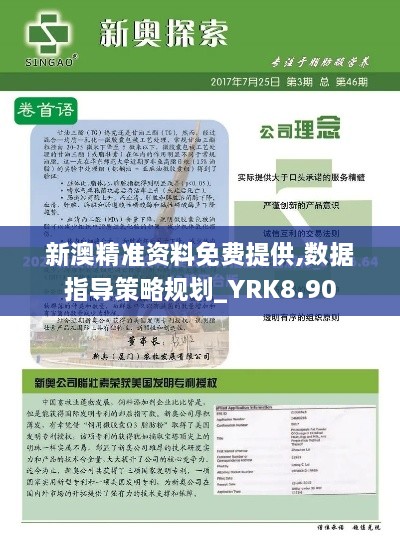 新澳精准资料免费提供,数据指导策略规划_YRK8.90