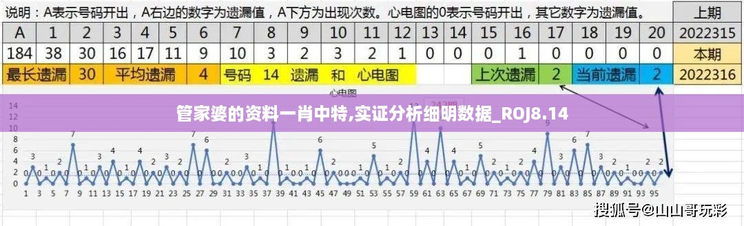 管家婆的资料一肖中特,实证分析细明数据_ROJ8.14