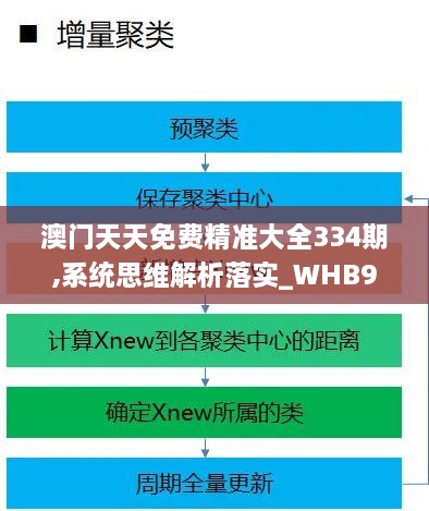 澳门天天免费精准大全334期,系统思维解析落实_WHB9.56.64随意版