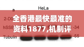 全香港最快最准的资料1877,机制评估方案_WWE8.32