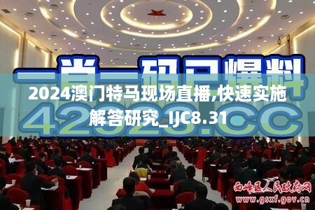 2024澳门特马现场直播,快速实施解答研究_IJC8.31