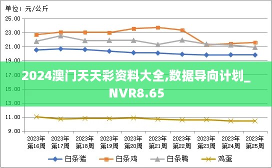 2024澳门天天彩资料大全,数据导向计划_NVR8.65