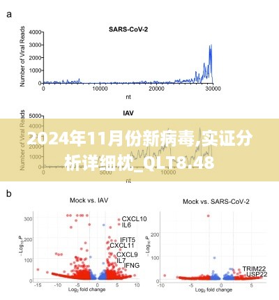 2024年11月份新病毒,实证分析详细枕_QLT8.48