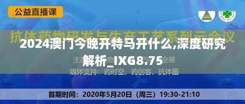 2024澳门今晚开特马开什么,深度研究解析_IXG8.75