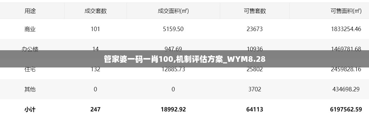 管家婆一码一肖100,机制评估方案_WYM8.28