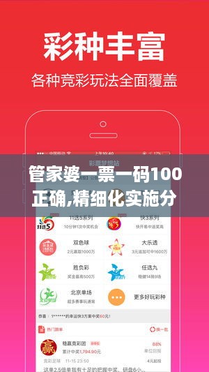 管家婆一票一码100正确,精细化实施分析_OQD8.94