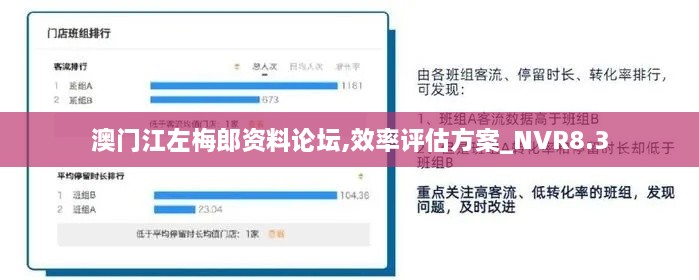 澳门江左梅郎资料论坛,效率评估方案_NVR8.3