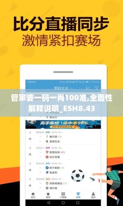 管家婆一码一肖100准,全面性解释说明_ESH8.43