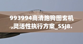 993994高清跑狗图玄机,灵活性执行方案_SSJ8.73