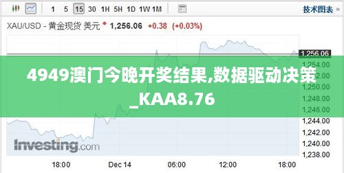 4949澳门今晚开奖结果,数据驱动决策_KAA8.76