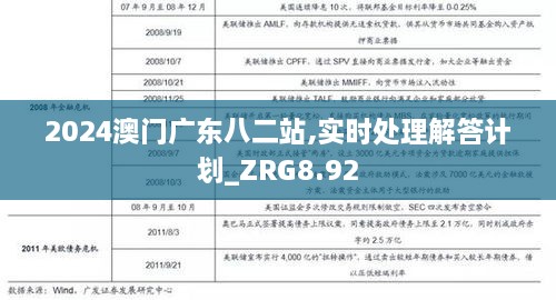 2024澳门广东八二站,实时处理解答计划_ZRG8.92