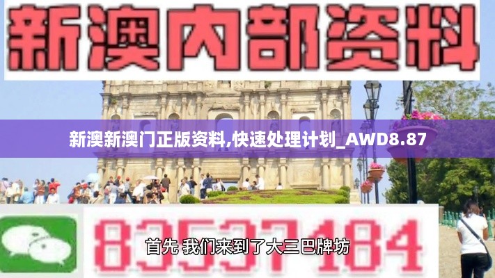 新澳新澳门正版资料,快速处理计划_AWD8.87