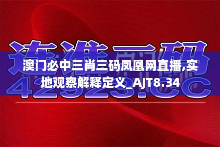 澳门必中三肖三码凤凰网直播,实地观察解释定义_AJT8.34