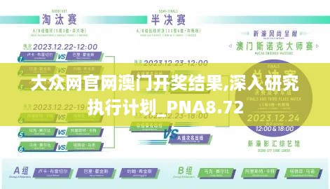 大众网官网澳门开奖结果,深入研究执行计划_PNA8.72