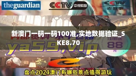 新澳门一码一码100准,实地数据验证_SKE8.70