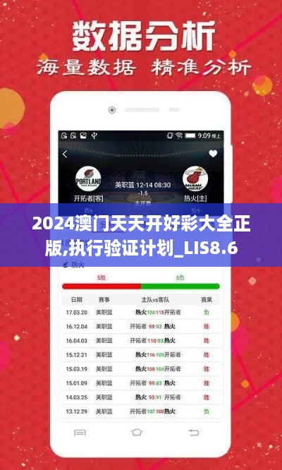 2024澳门天天开好彩大全正版,执行验证计划_LIS8.6