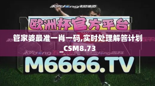 管家婆最准一肖一码,实时处理解答计划_CSM8.73