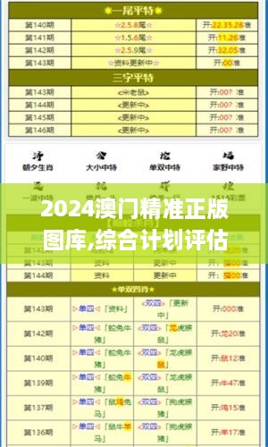 2024澳门精准正版图库,综合计划评估_BKT8.21