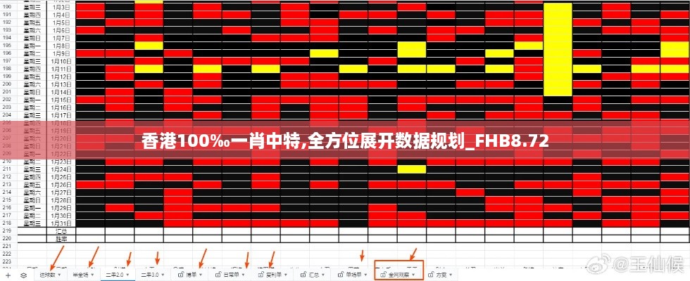 香港100‰一肖中特,全方位展开数据规划_FHB8.72