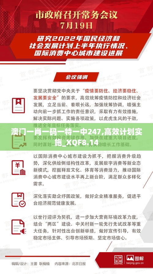 澳门一肖一码一特一中247,高效计划实施_XQF8.14