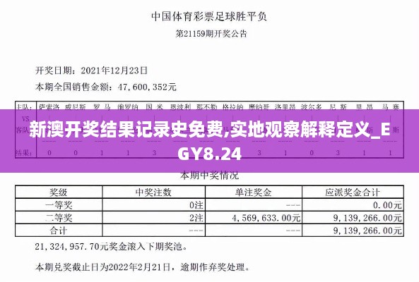 新澳开奖结果记录史免费,实地观察解释定义_EGY8.24