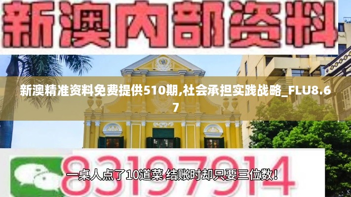 新澳精准资料免费提供510期,社会承担实践战略_FLU8.67