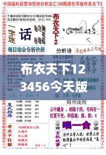 布衣天下123456今天版精华布衣图,试机号码,实地验证策略具体_GVR8.97