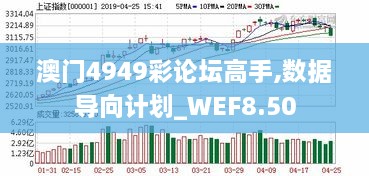 澳门4949彩论坛高手,数据导向计划_WEF8.50