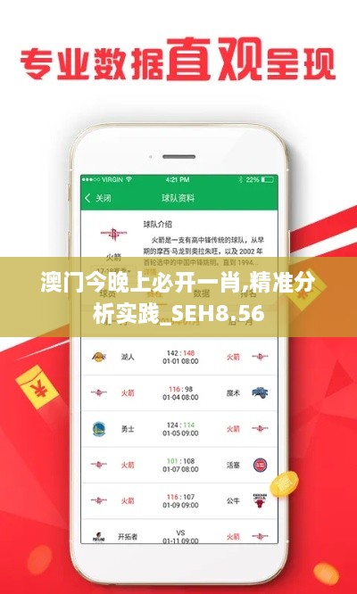 澳门今晚上必开一肖,精准分析实践_SEH8.56