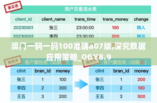 澳门一码一码100准确a07版,深究数据应用策略_OGY8.9