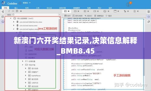 新澳门六开奖结果记录,决策信息解释_BMB8.45