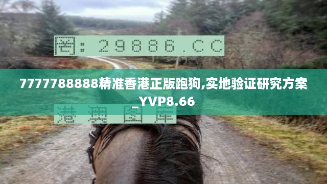 7777788888精准香港正版跑狗,实地验证研究方案_YVP8.66