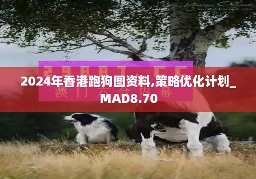 2024年香港跑狗图资料,策略优化计划_MAD8.70