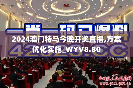 2024澳门特马今晚开奖直播,方案优化实施_WYV8.80