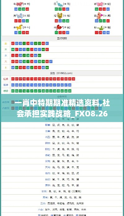 一肖中特期期准精选资料,社会承担实践战略_FXO8.26