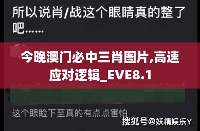 今晚澳门必中三肖图片,高速应对逻辑_EVE8.1