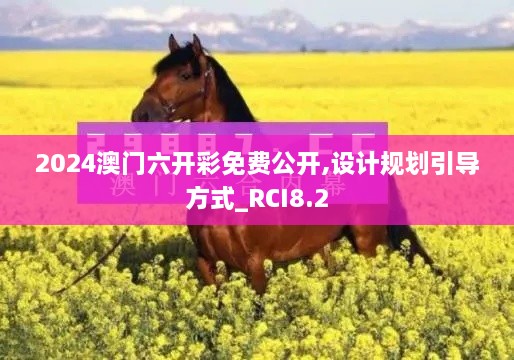 2024澳门六开彩免费公开,设计规划引导方式_RCI8.2