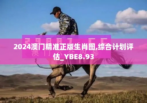 2024澳门精准正版生肖图,综合计划评估_YBE8.93