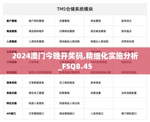 2024澳门今晚开奖码,精细化实施分析_FSQ8.45