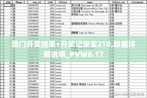 澳门开奖结果+开奖记录表210,数据详解说明_PVW8.17