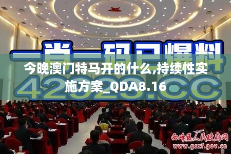 今晚澳门特马开的什么,持续性实施方案_QDA8.16