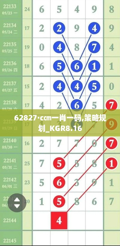 62827·c㎝一肖一码,策略规划_KGR8.16