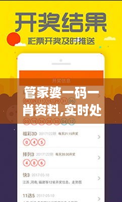 管家婆一码一肖资料,实时处理解答计划_ZHI8.40