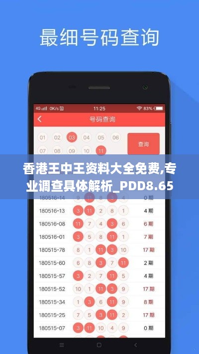 香港王中王资料大全免费,专业调查具体解析_PDD8.65