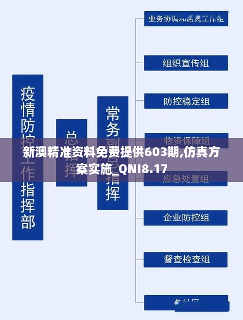 新澳精准资料免费提供603期,仿真方案实施_QNI8.17