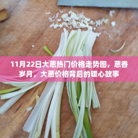 11月22日大葱热门价格走势图，葱香岁月，大葱价格背后的暖心故事