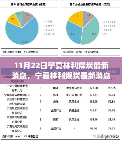 宁夏林利煤炭最新消息深度解析（11月22日版）